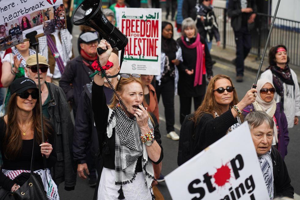 Pro-Palestine protester