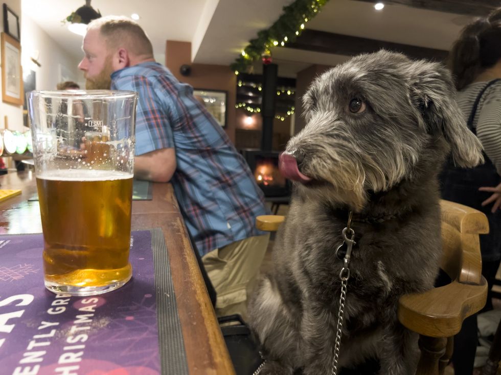 Pub