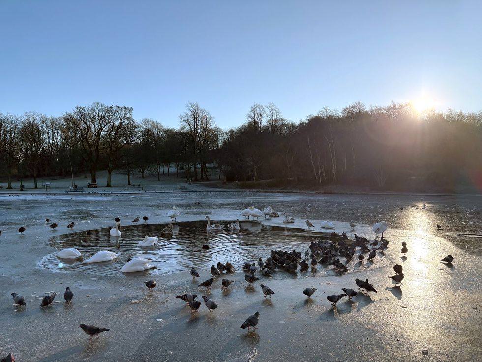 Queens Park