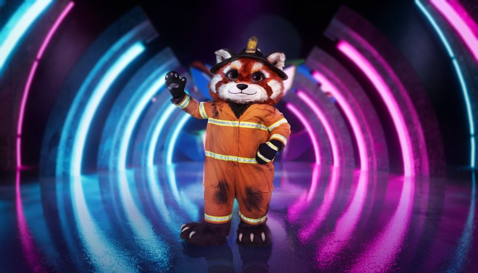 Red Panda