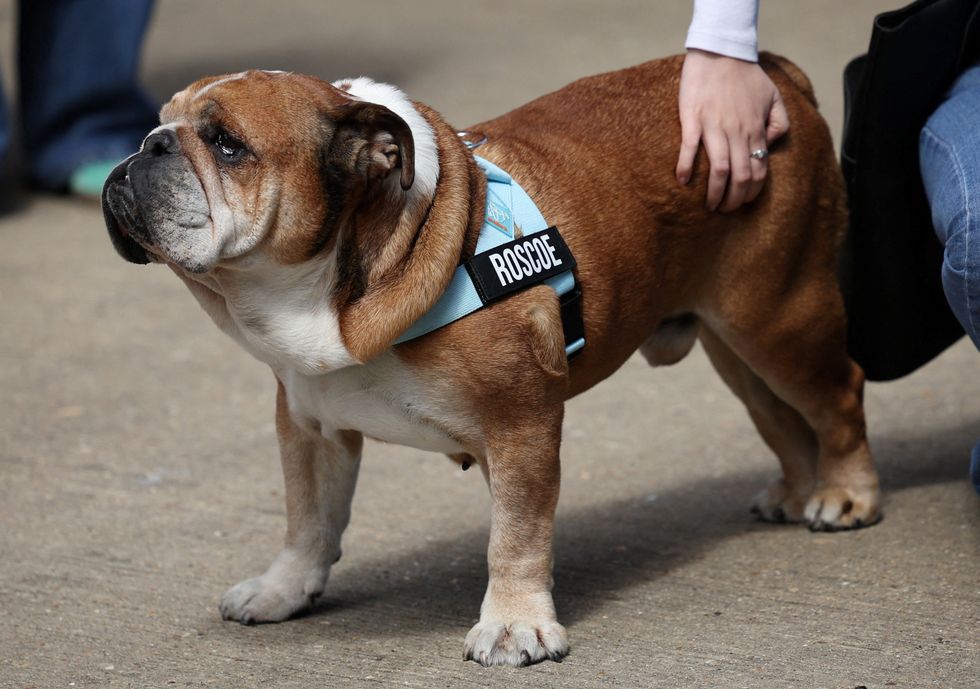 Roscoe