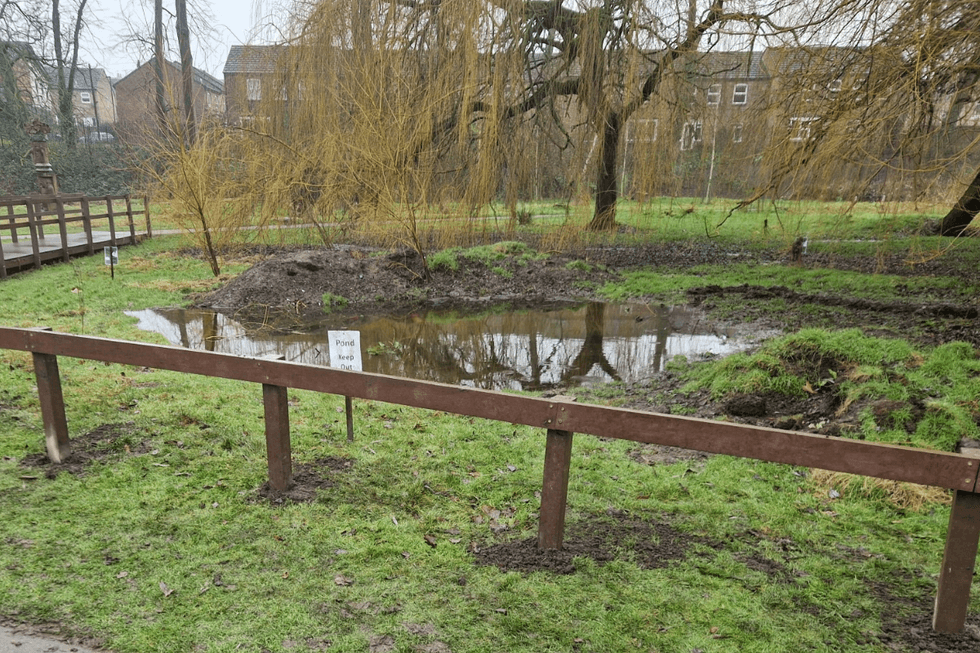 Rowntree Park