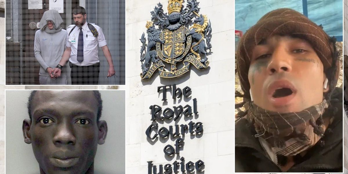 Illegal Channel migrants driving surge in court interpreter costs as millions in taxpayer cash spent on non-English speakers