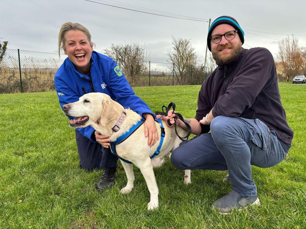 RSPCA workers with Daisy