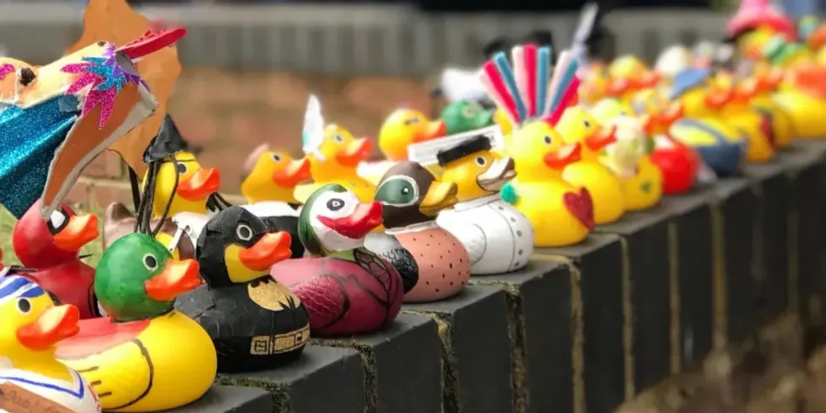 Rubber duck race held for almost two decades CANCELLED in devastating blow