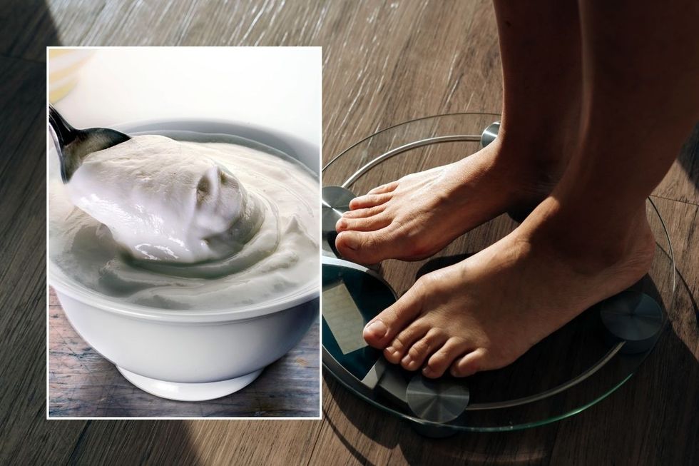 scales and protein