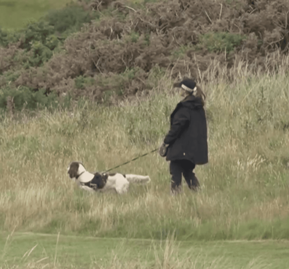Search dogs were seen out on the course before Trump arrived