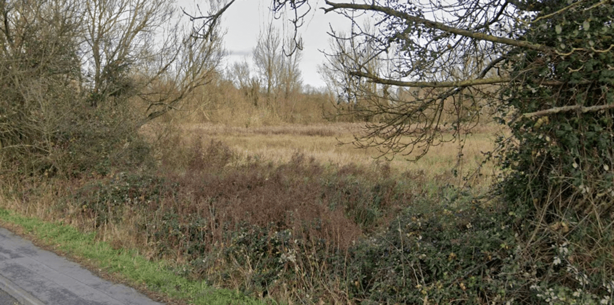 Travellers bulldoze wildlife haven as residents left fuming over bank holiday 'land grab'