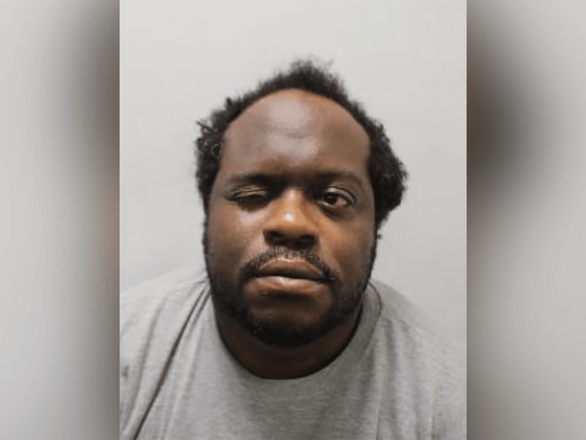 Simon Levy mugshot