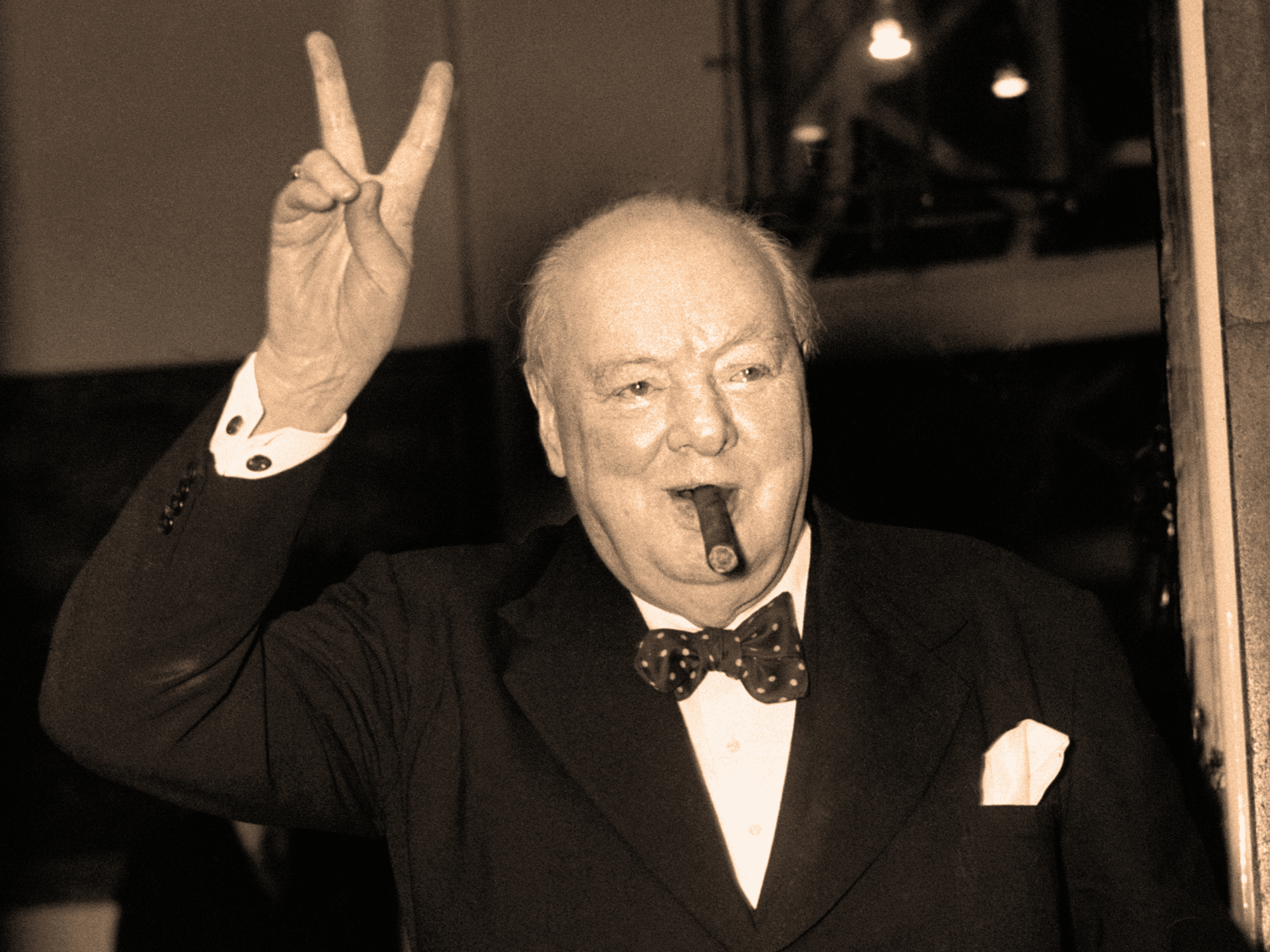 'Churchill would be turning in his grave!' Cigars could disappear from British shelves under 'nan...
