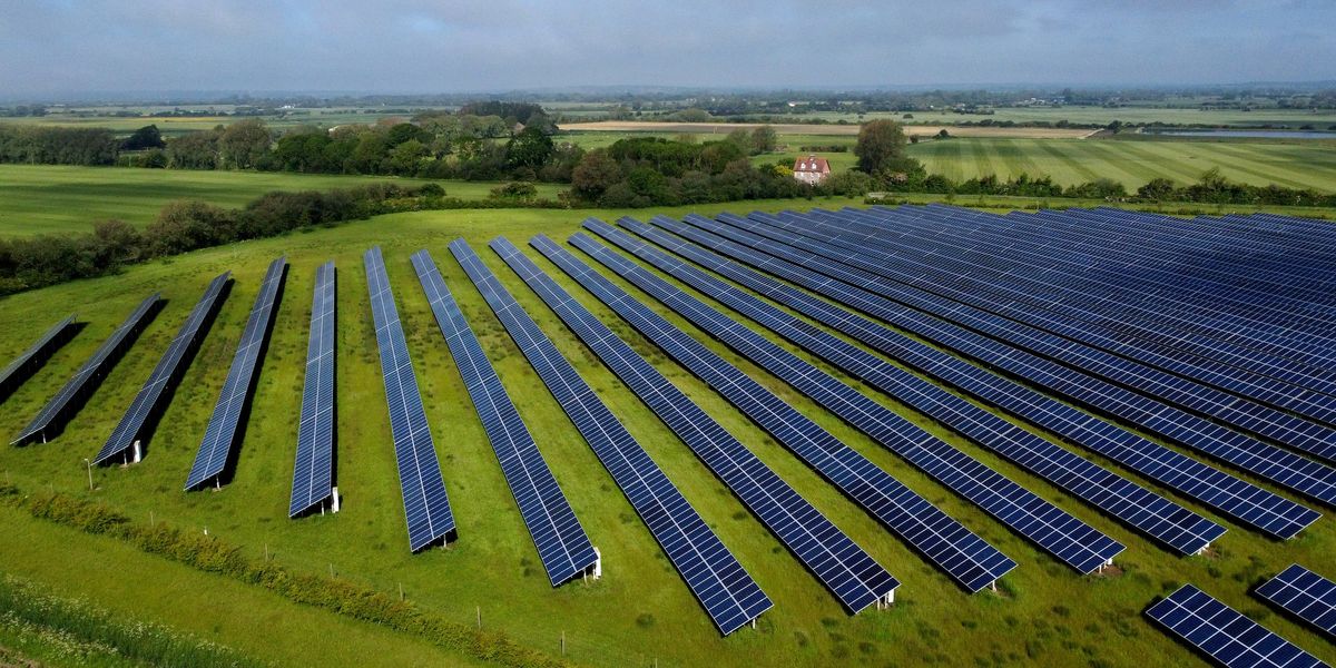 EXPOSED: Britain's best farmland destroyed under Net Zero madness as enough food to feed 200,000 vanishes