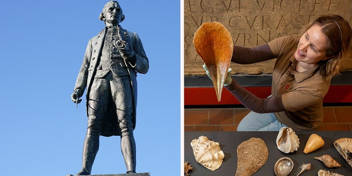 Shells from Captain Cook’s third voyage 'lost for 40 years' saved from skip: 'Nothing short of a miracle'