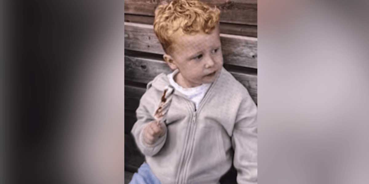 Boy, 3, goes missing from playground as police launch search for toddler