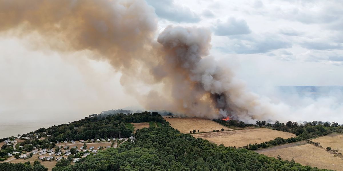Britons BANNED from forests over 'risk of ignition' following summer of wildfires