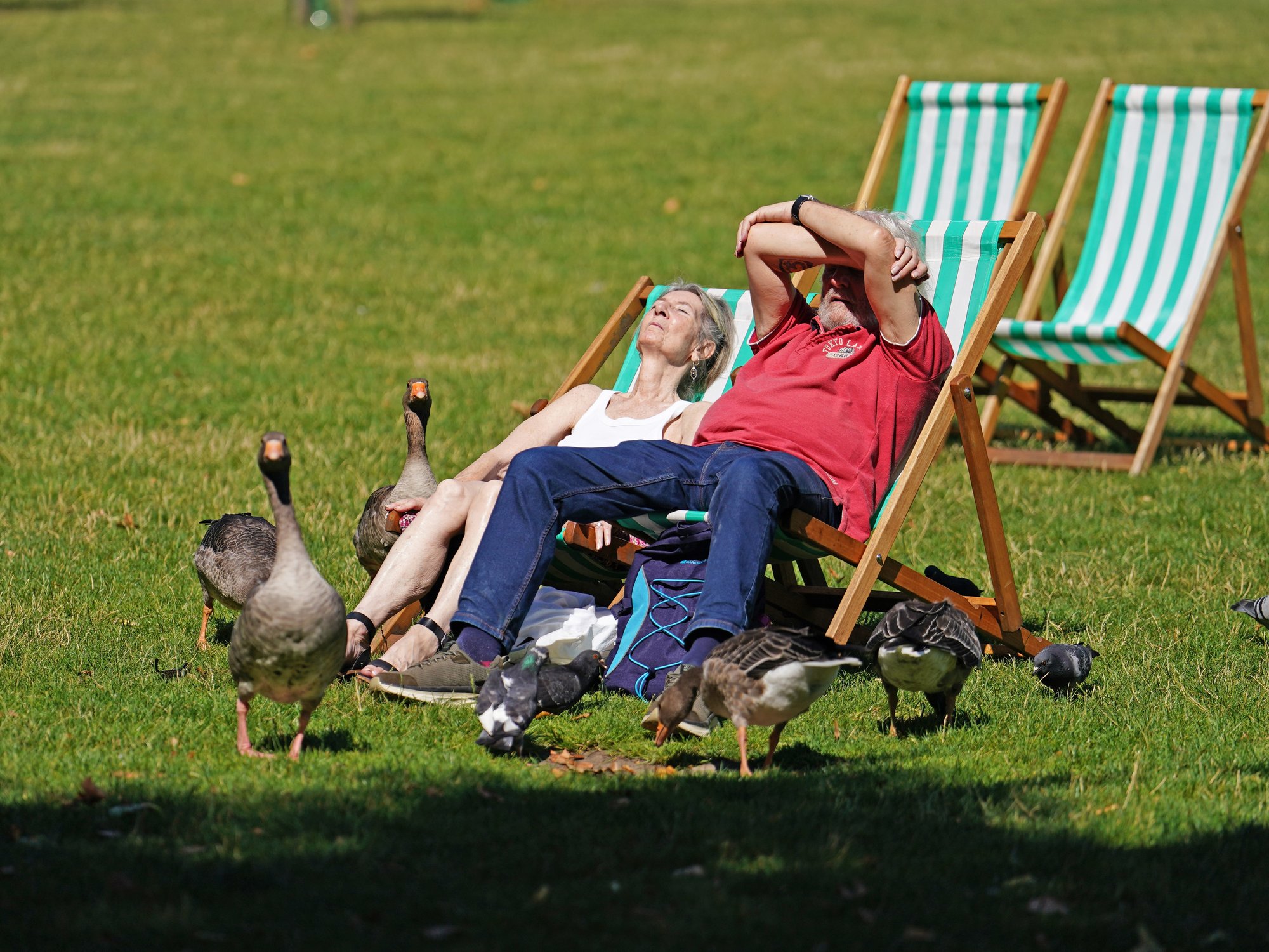 Sunbathers during heatwave