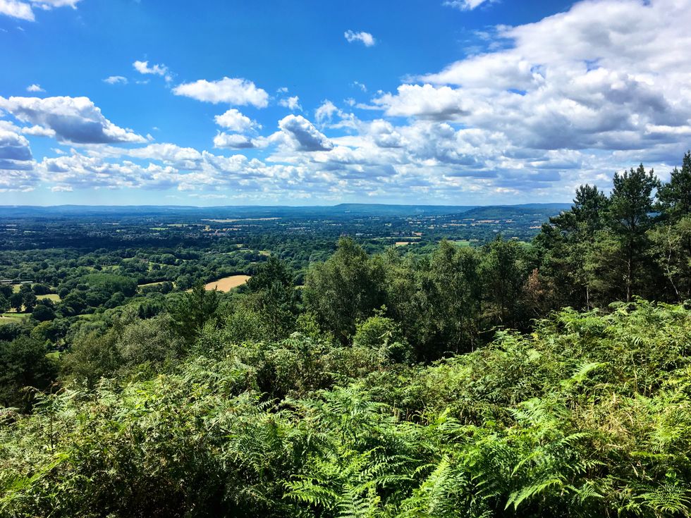 Surrey