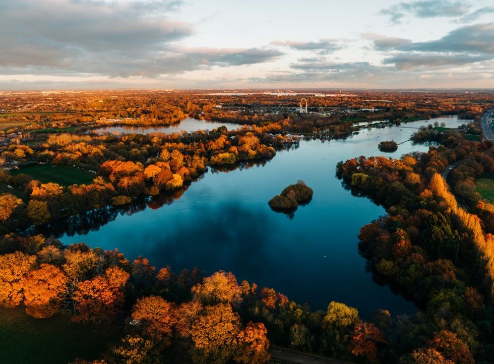 Surrey