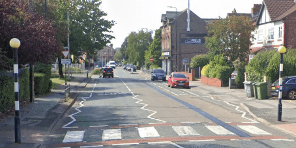 Lollipop man in his 70s struck by car on school crossing as horrified children watch him suffer gruesome injuries
