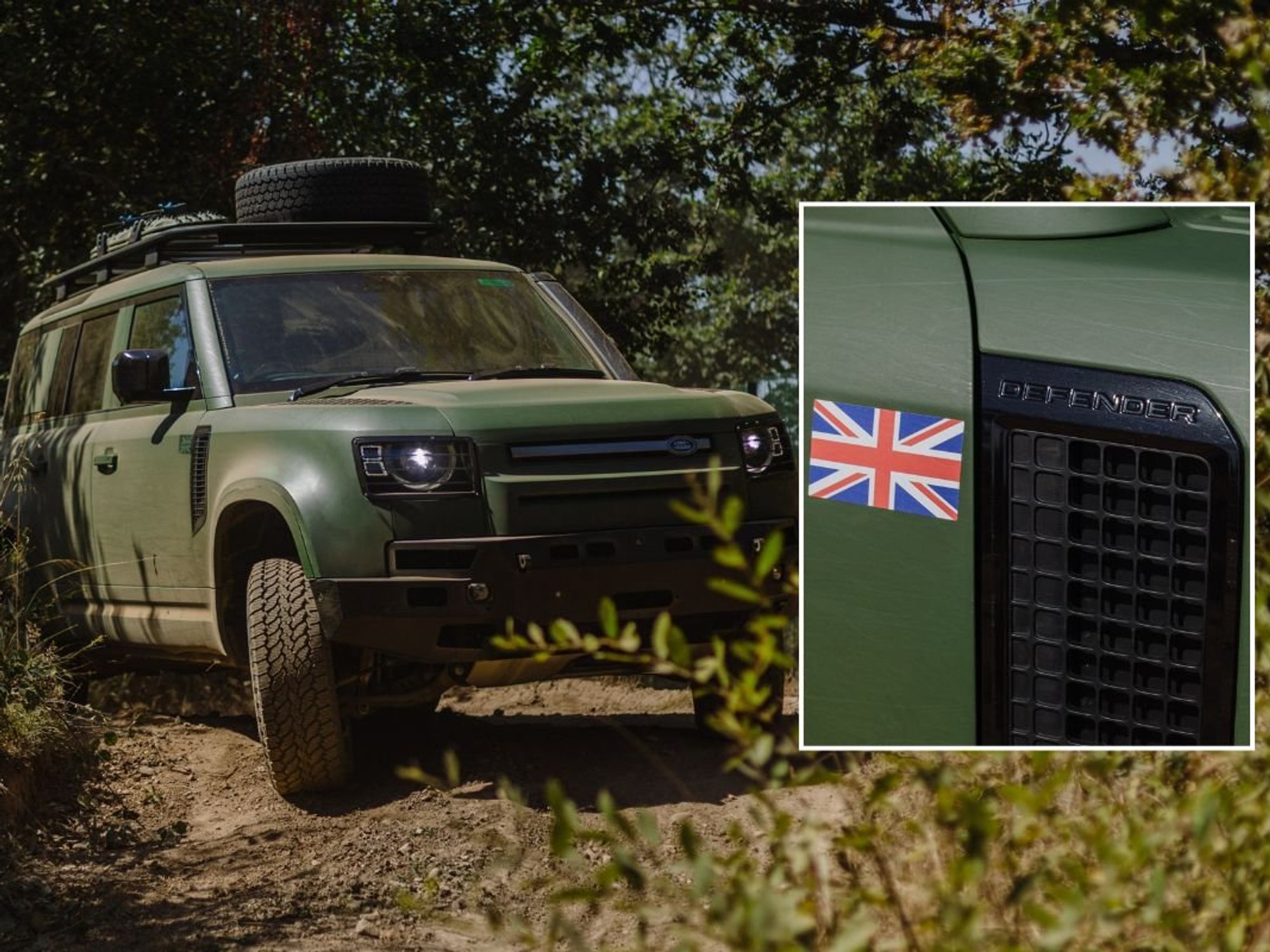 The Defender Wolf Series II