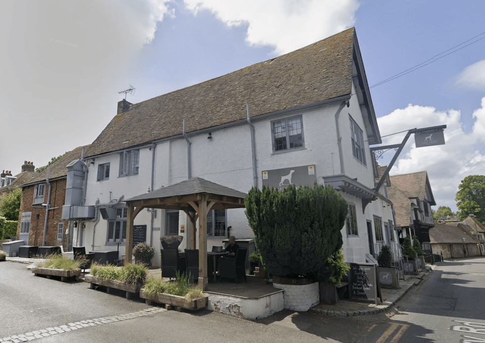 The Dog in Wingham