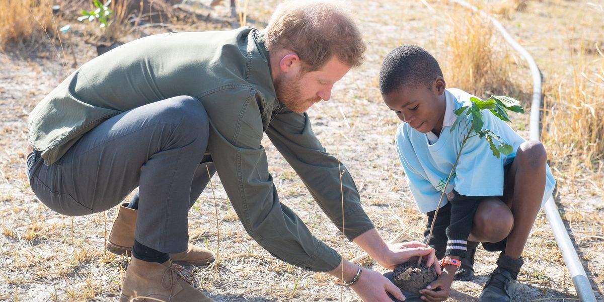 Prince Harry parts ways with African Parks after 10 years as fresh statement issued