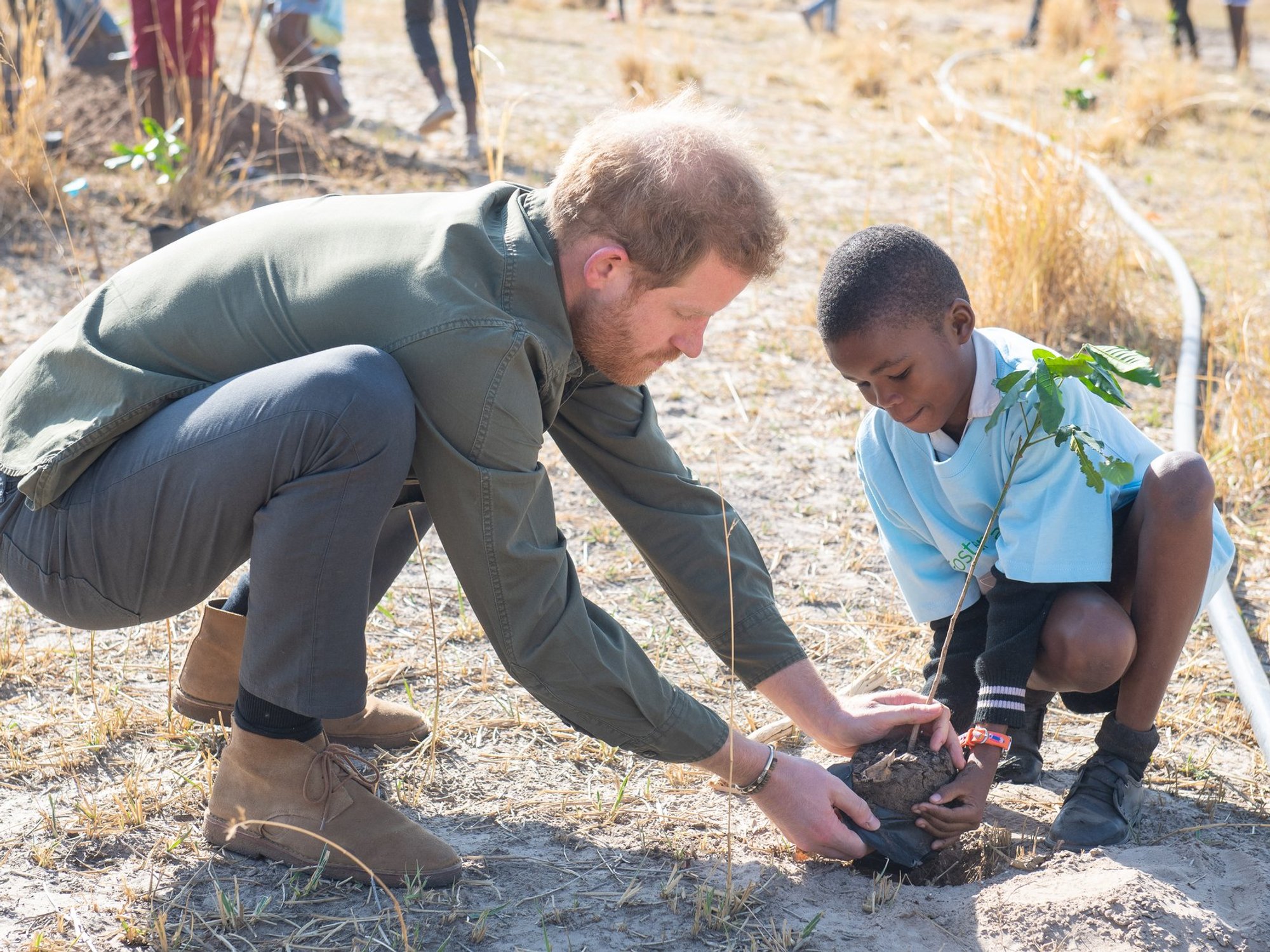 Prince Harry parts ways with African Parks after 10 years as fresh statement issued