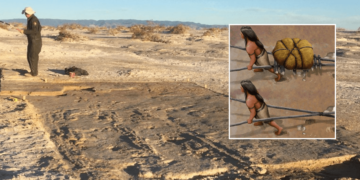 Archaeology breakthrough ends decades of mystery as huge insight into prehistoric life uncovered