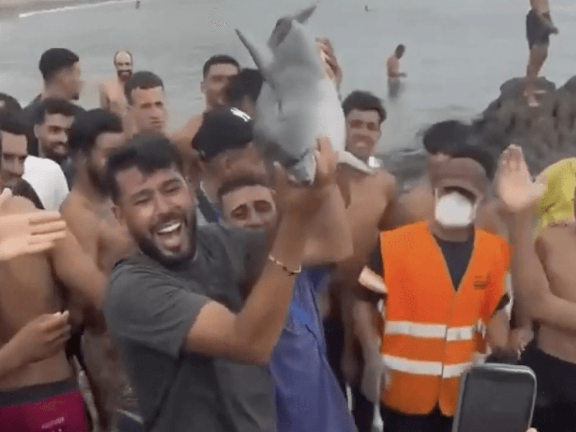 The mammal was held aloft like a trophy