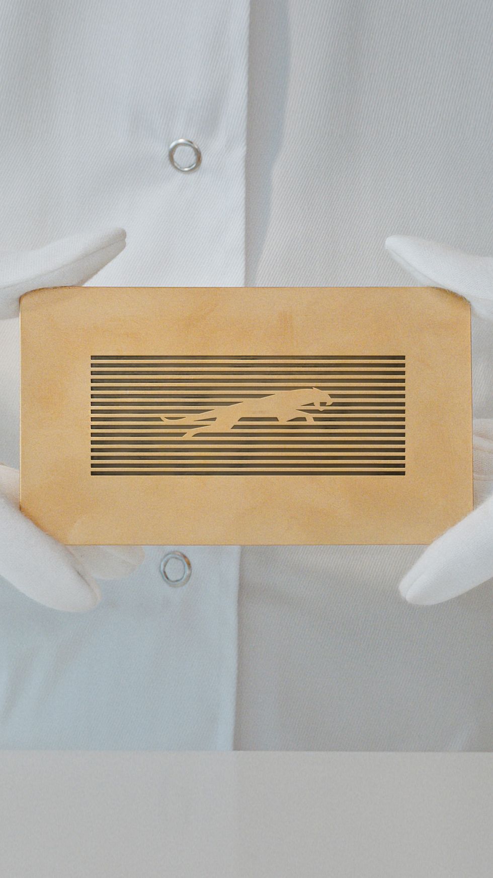 The new Jaguar logo