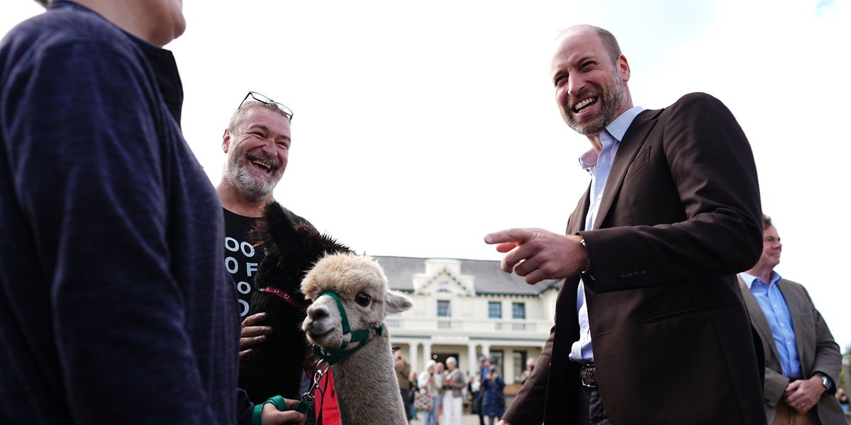 Prince William leaves locals in stitches as he strokes alpacas on Dartmoor visit