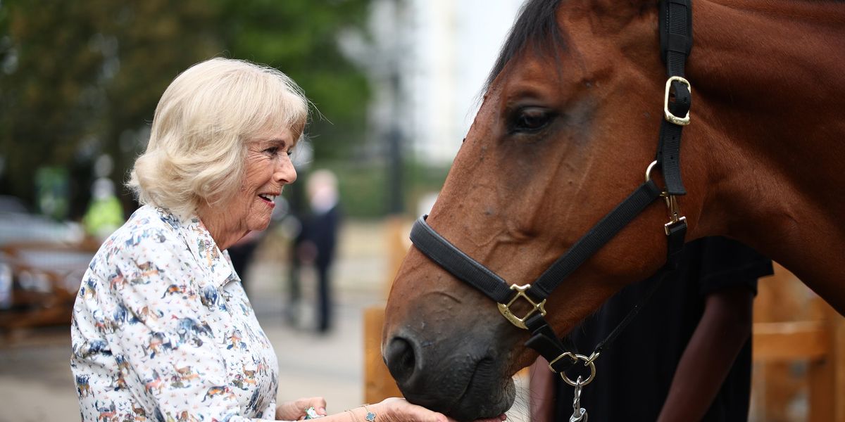 Queen Camilla marks special 30th anniversary as she visits beloved Brixton horse club