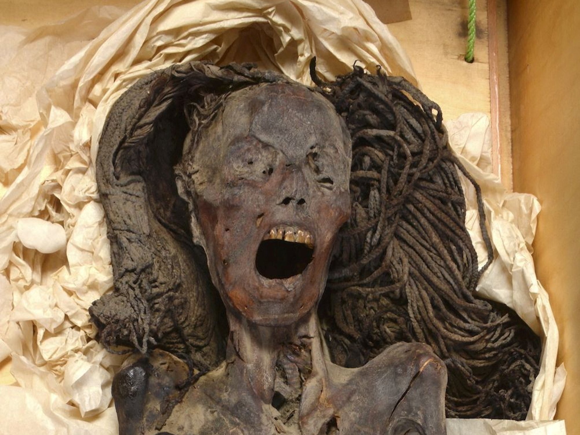 The "Screaming Woman" mummy, discovered in 1935 at Deir Elbahari near Luxor and dating to about 1500 BC