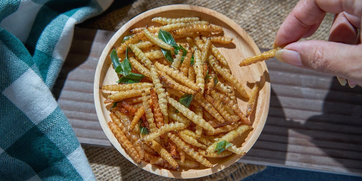 Government-backed drive to get the public to eat more BUGS in meat alternative