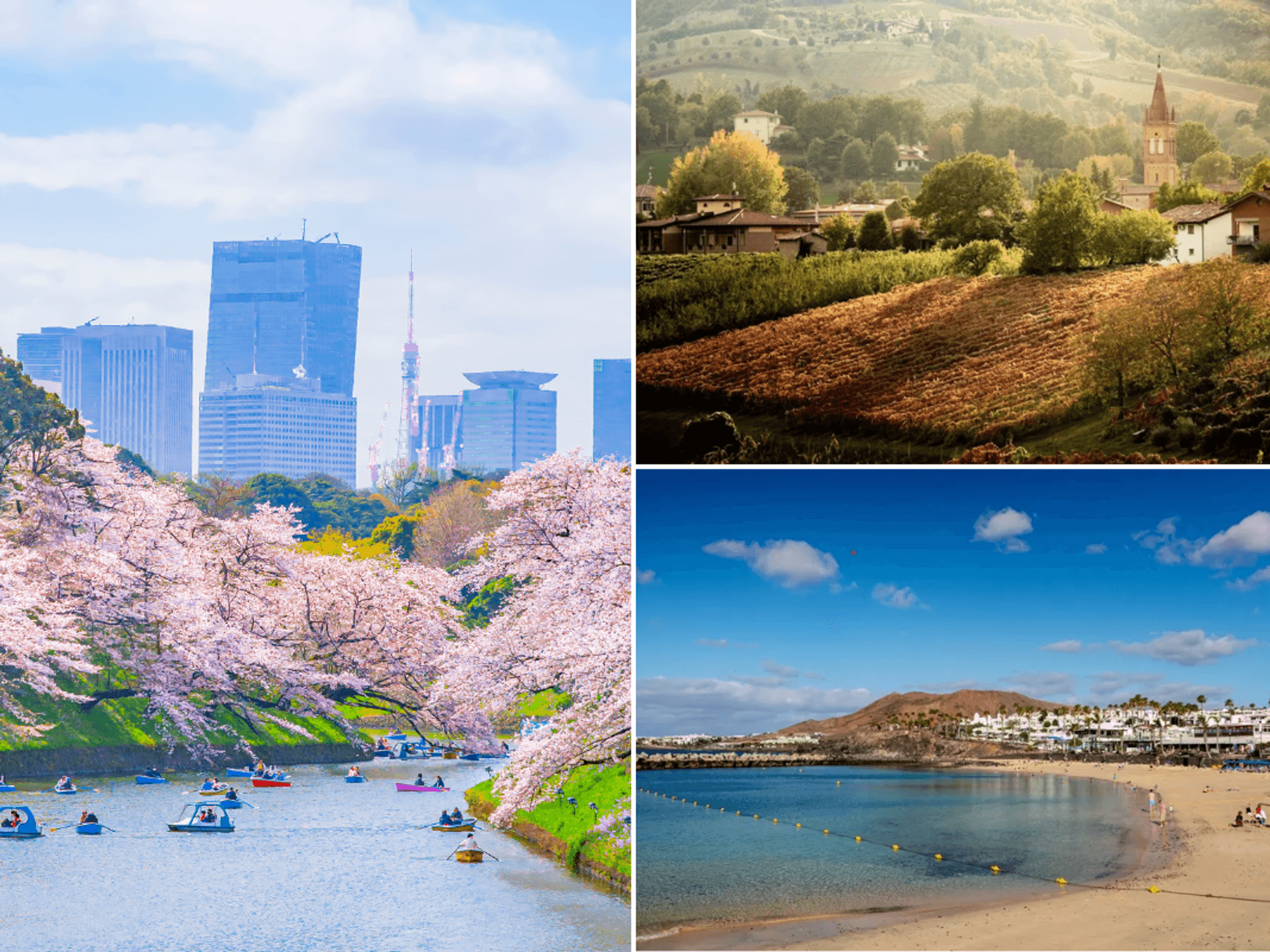 Tokyo, Tuscany, Lanzarote