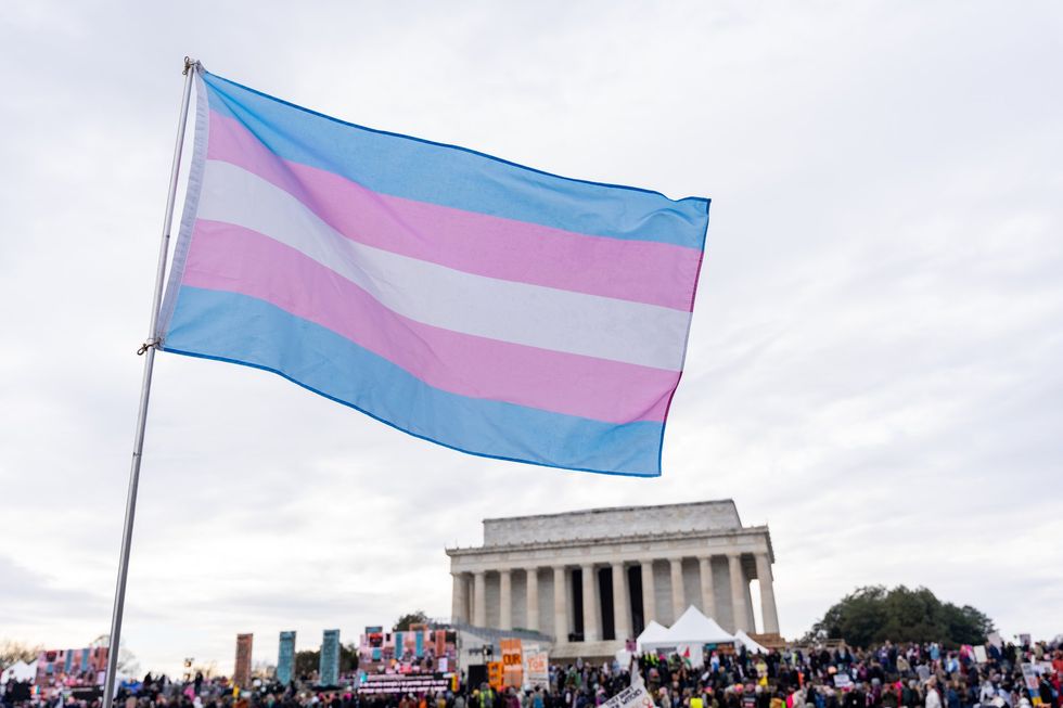 Trans flag at Washington DC protest