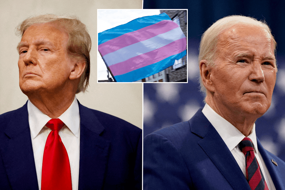 Trump, a trans flag, Biden