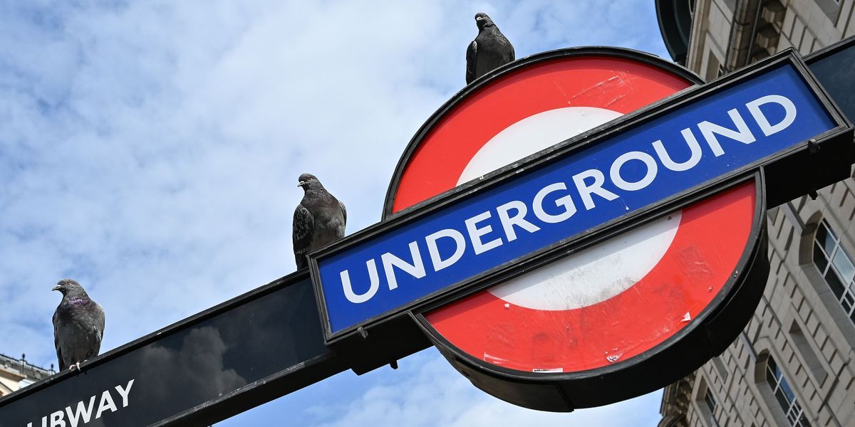 Sadiq Khan’s TfL blasted over ‘barbaric’ pigeon cull as 655 birds killed in tube clearout