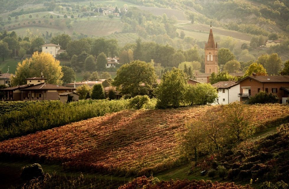 Tuscany vineyard