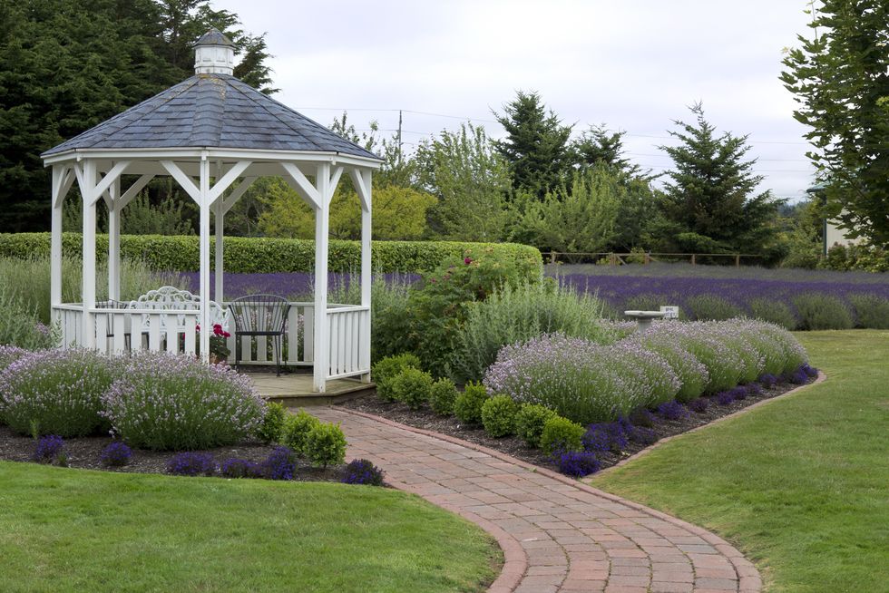 \u200bA well-manicured garden with lavender