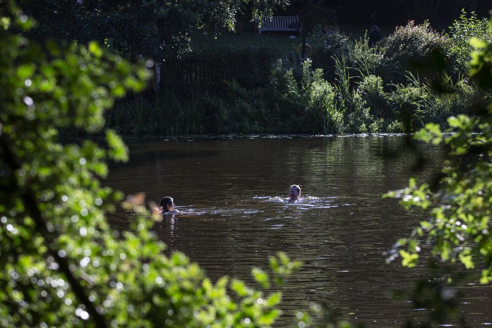 \u200bKenwood Ladies' Pond