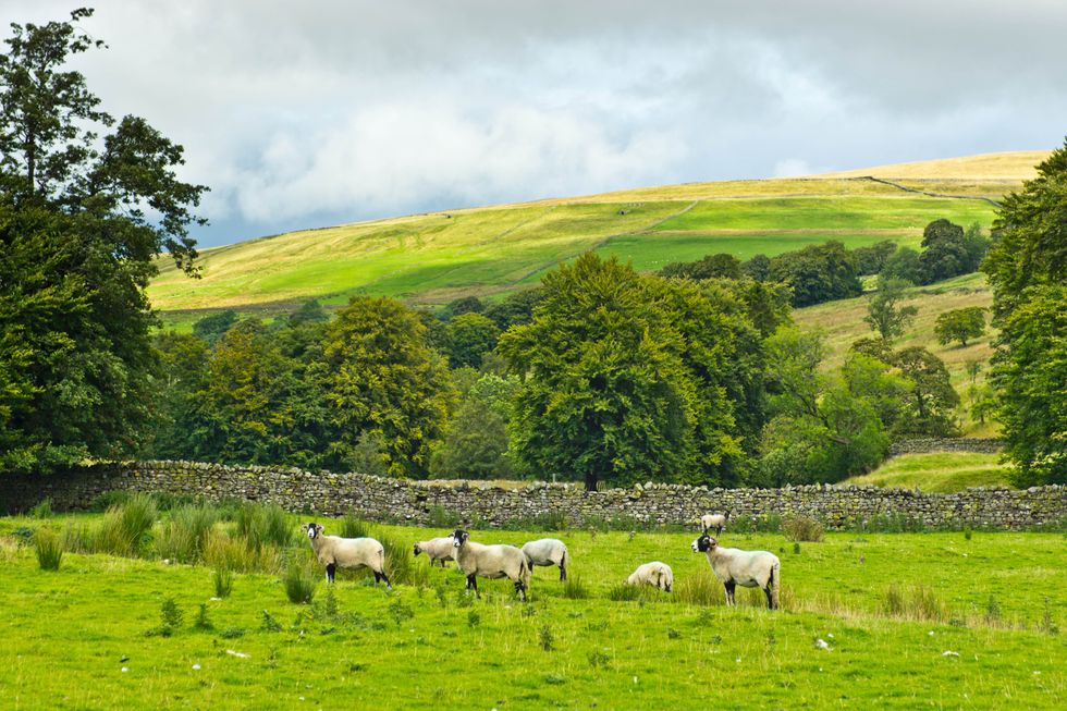 \u200bNorth Pennines countryside