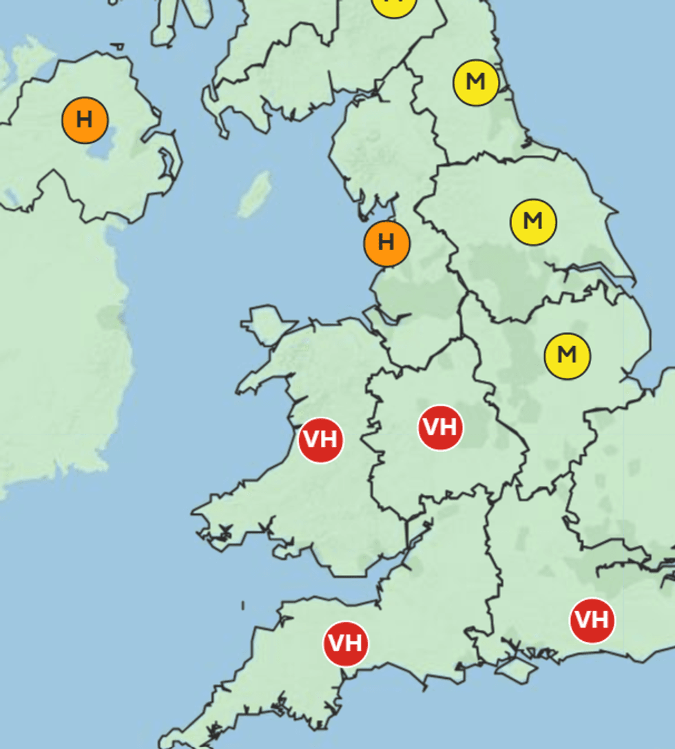 \u200bPollen forecast for April 7
