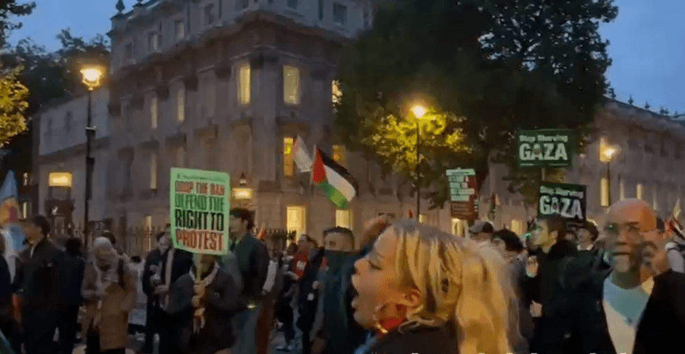 \u200bPro-Palestine protests broke out in Whitehall