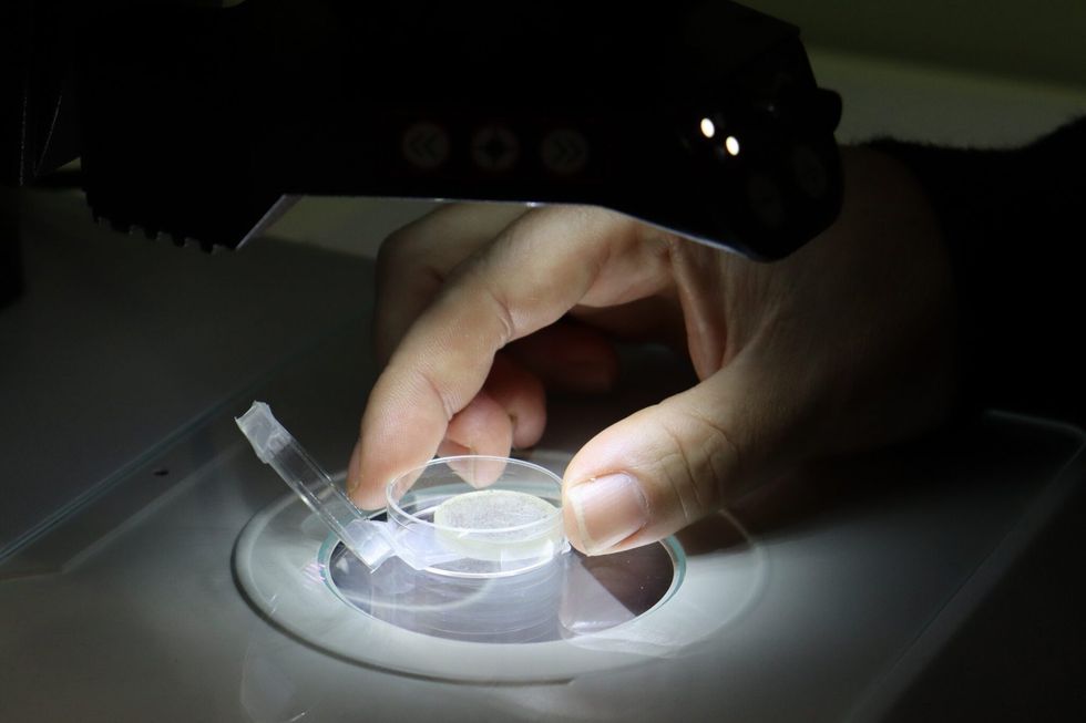 \u200bProfessor Kirkland studying zircon crystals in Curtin University's lab