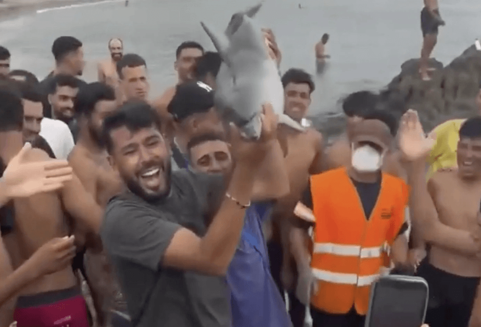 \u200bThe mammal was held aloft like a trophy
