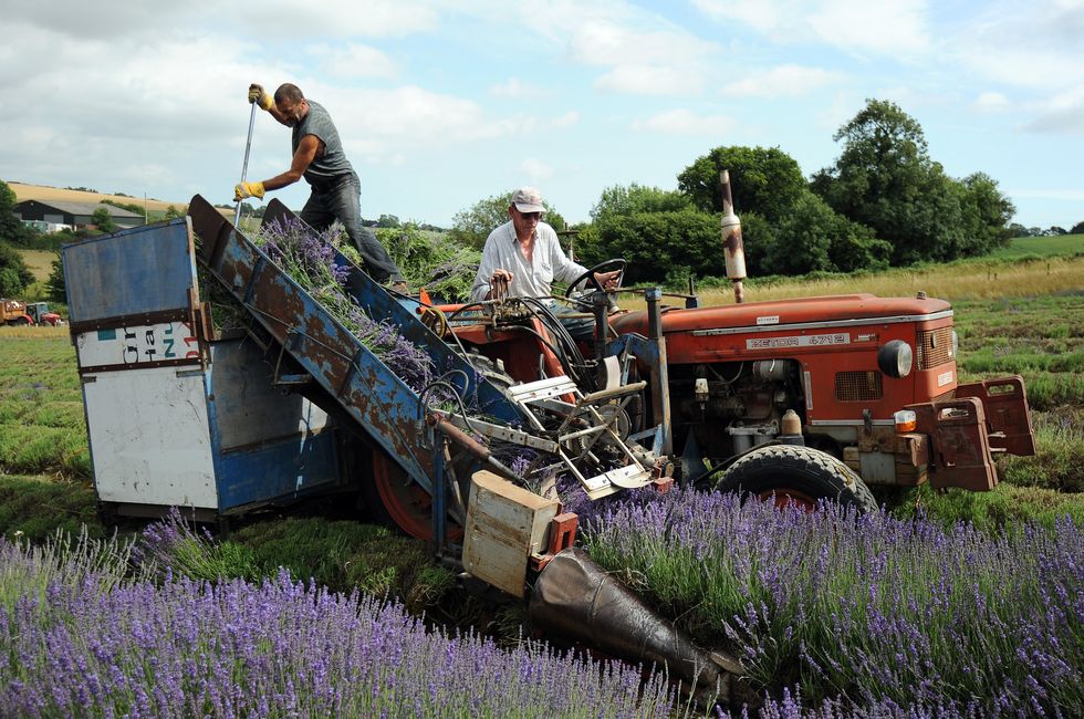 \u200bWest Sussex