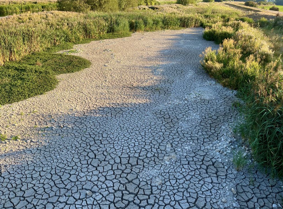 UK drought