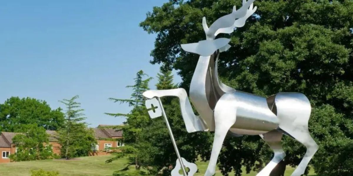 Meningitis outbreak: University of Surrey issues alert after student diagnosed with meningitis