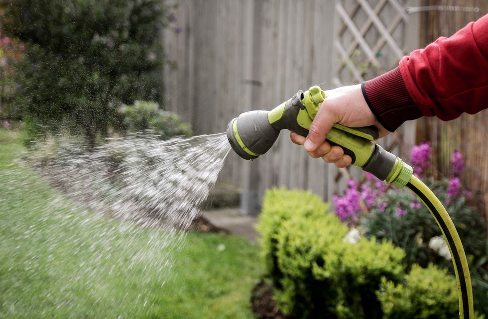 Using hosepipe to water garden