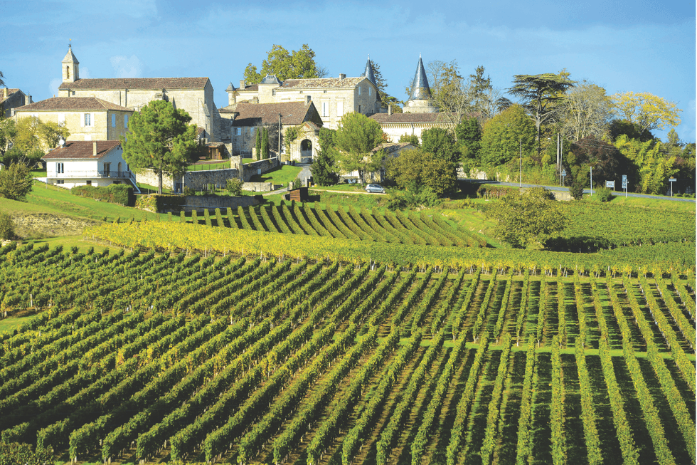 Vineyard Bordeaux